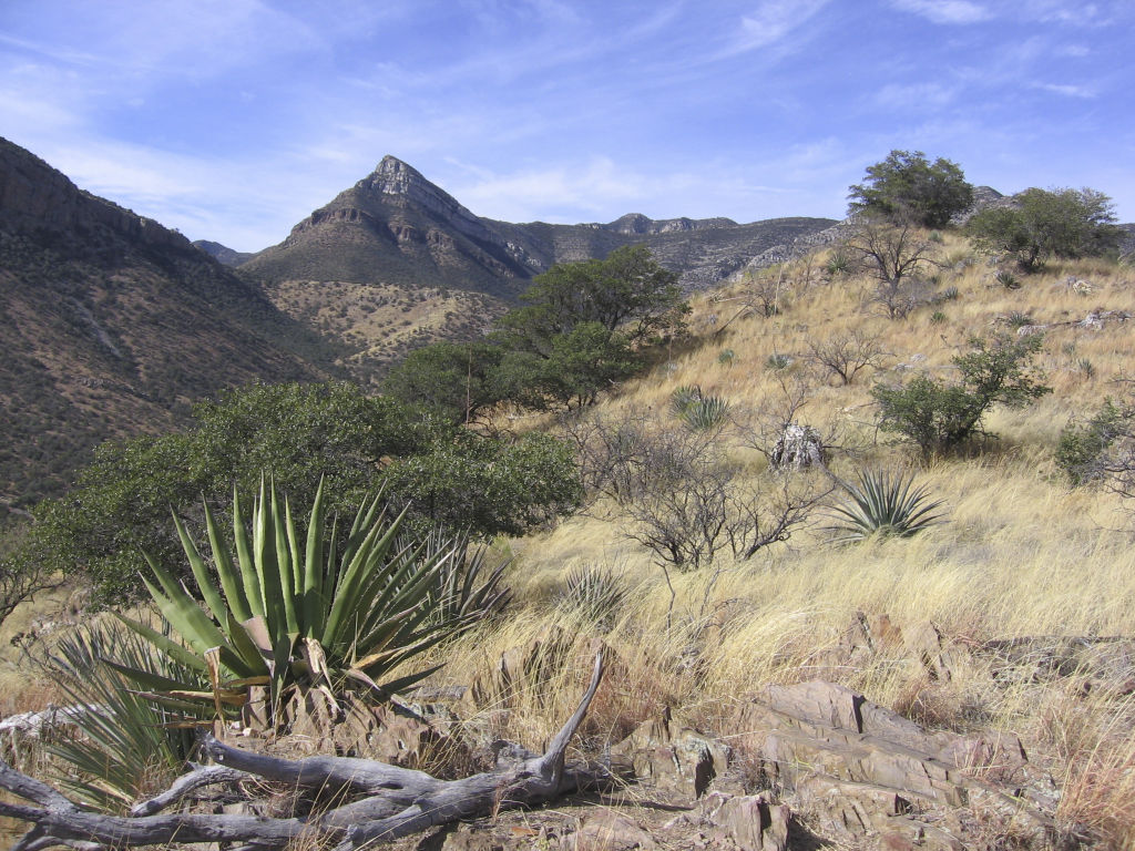 Whetstone Mountains